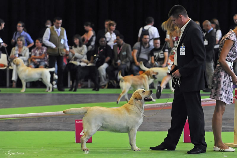 INGRID SKARB SERCA INGRID SKARB SERCA